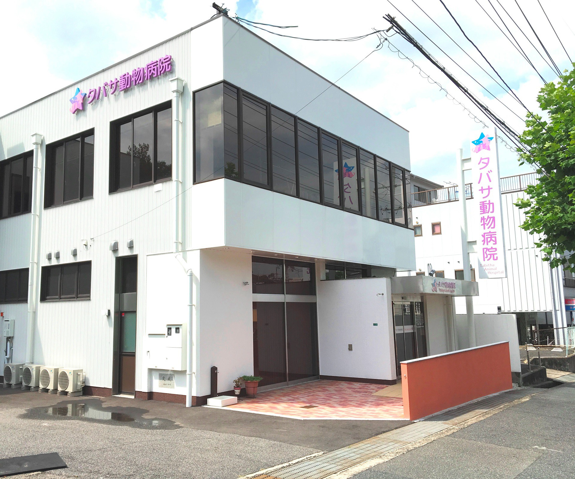 タバサ動物病院の口コミと評判｜診療時間・費用や救急対応を徹底検証