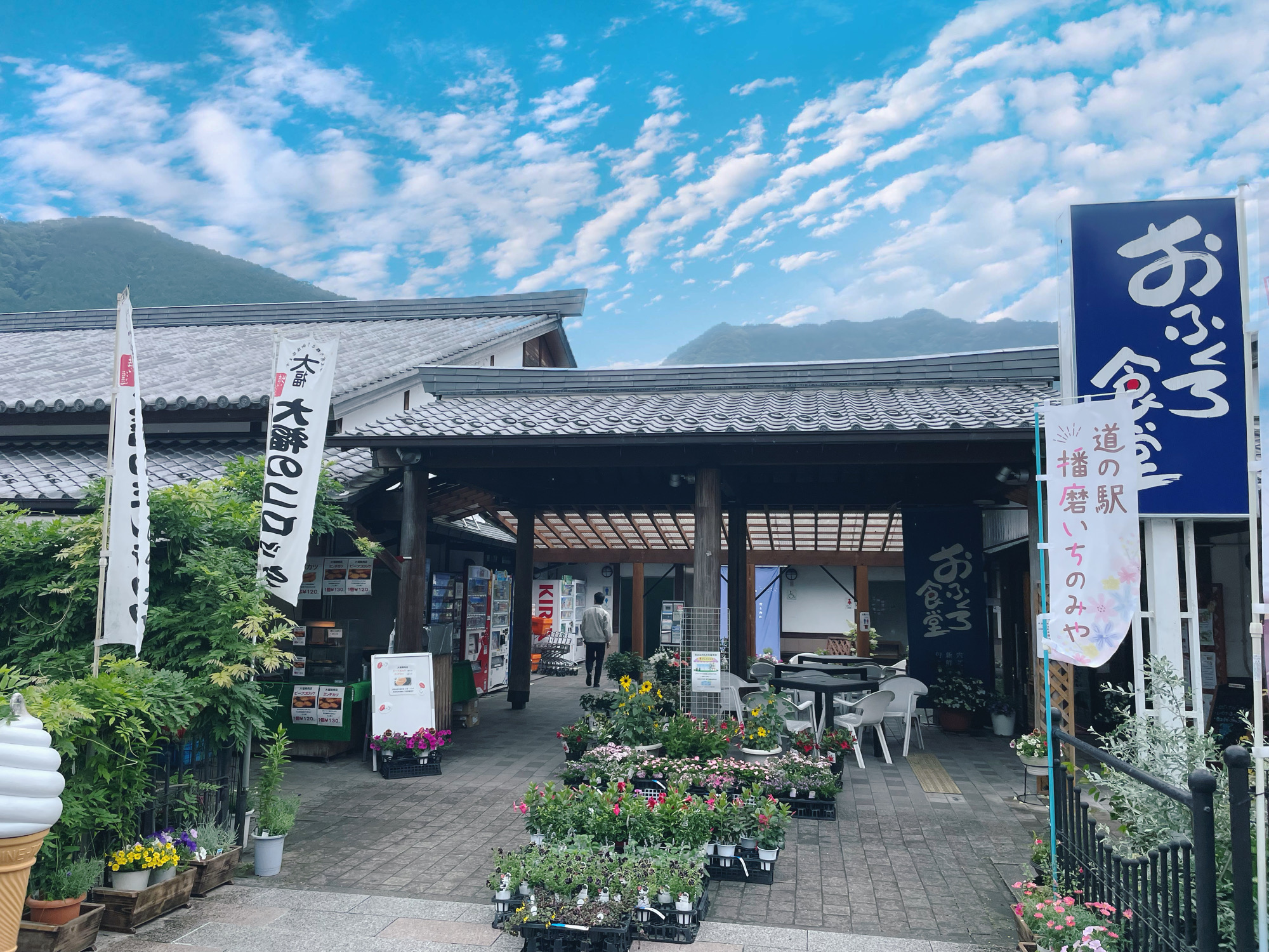 名物自然薯と伊和神社参拝！道の駅播磨いちのみや満喫ガイド2026