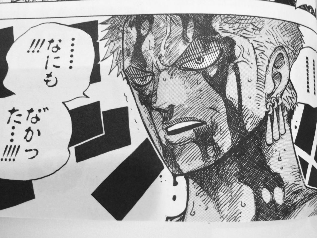 ワンピース「何もなかった」の真相とゾロ血まみれの理由を徹底解説
