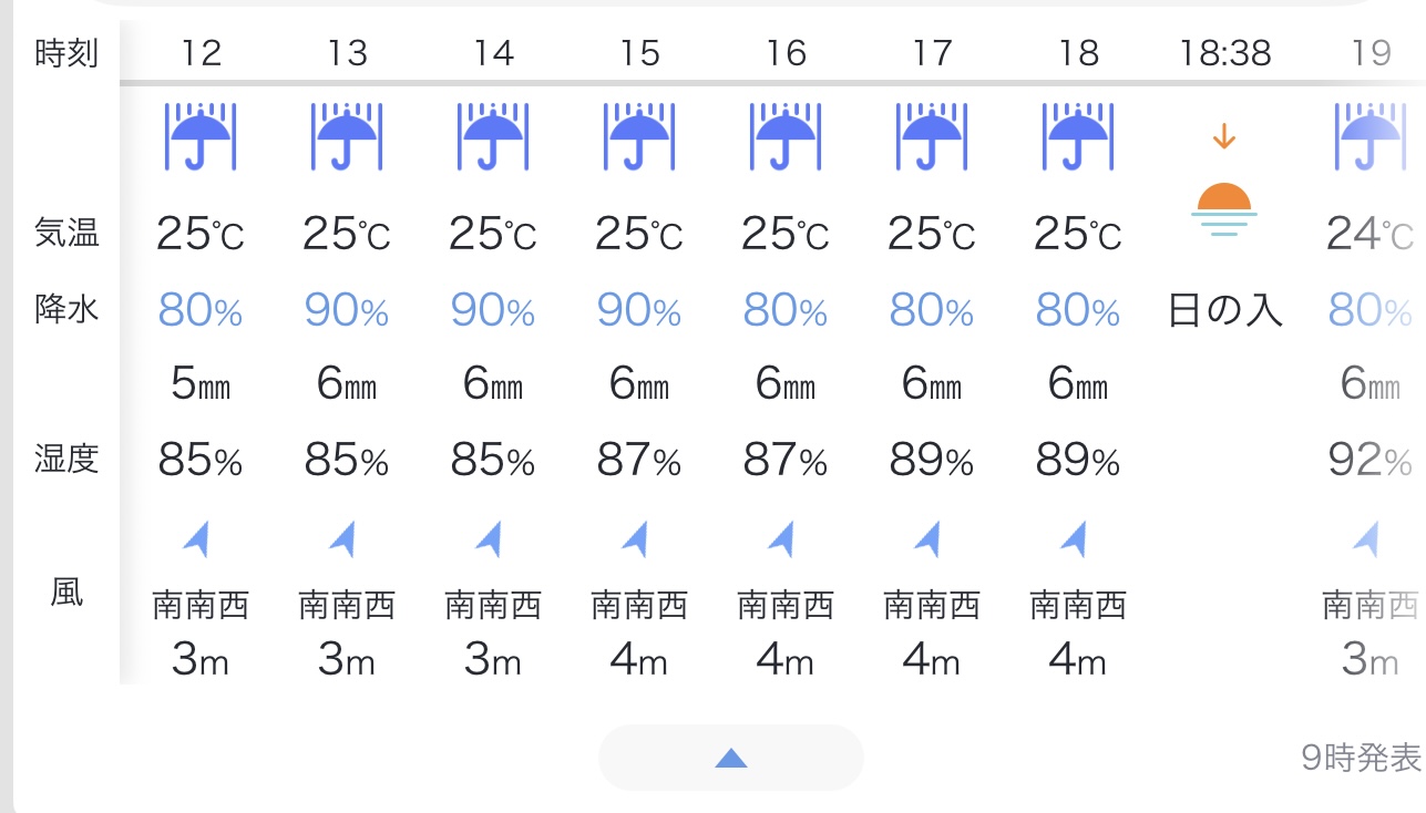 那須ハイランドパーク天気の真実！雨の日の運行状況と服装対策2026