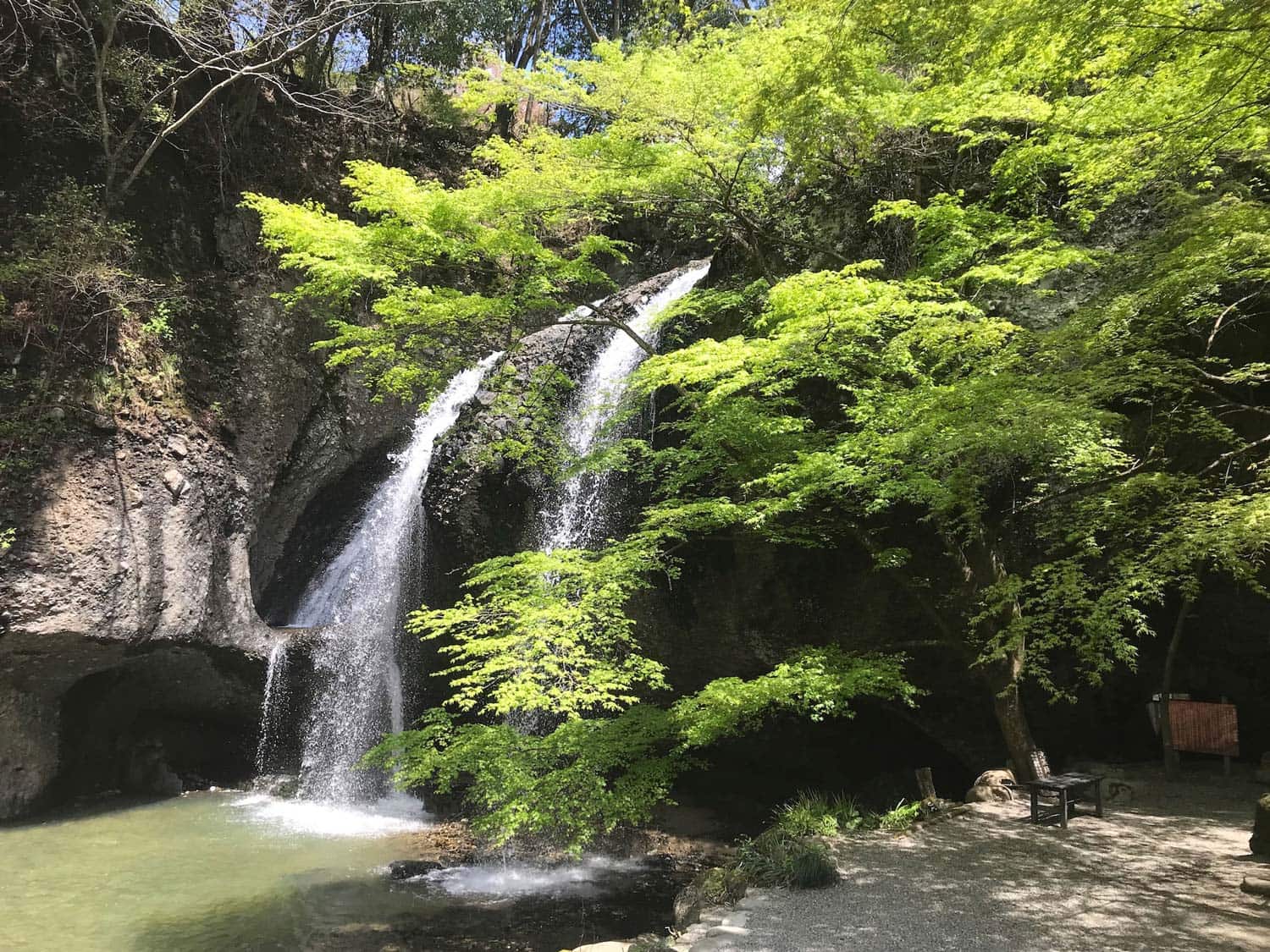 月待の滝の真実｜なぜ濡れない？裏見の絶景ともみじ苑の魅力を徹底解剖