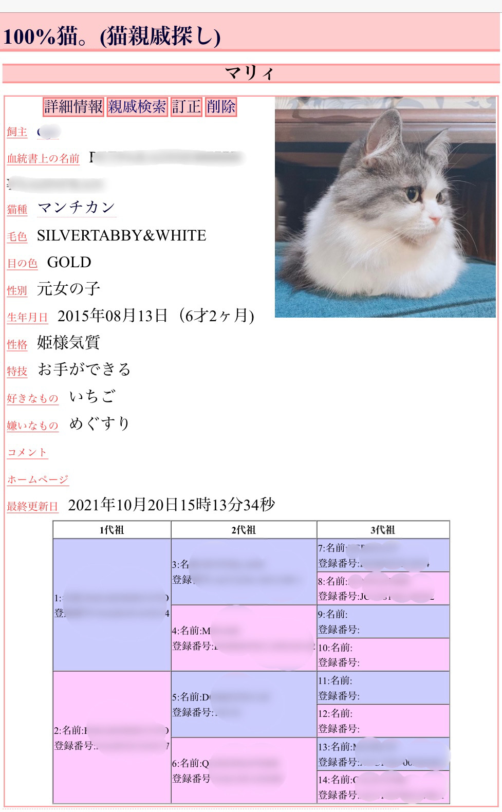 猫の血統書は何を証明する？発行団体の違いや見方・値段の真実