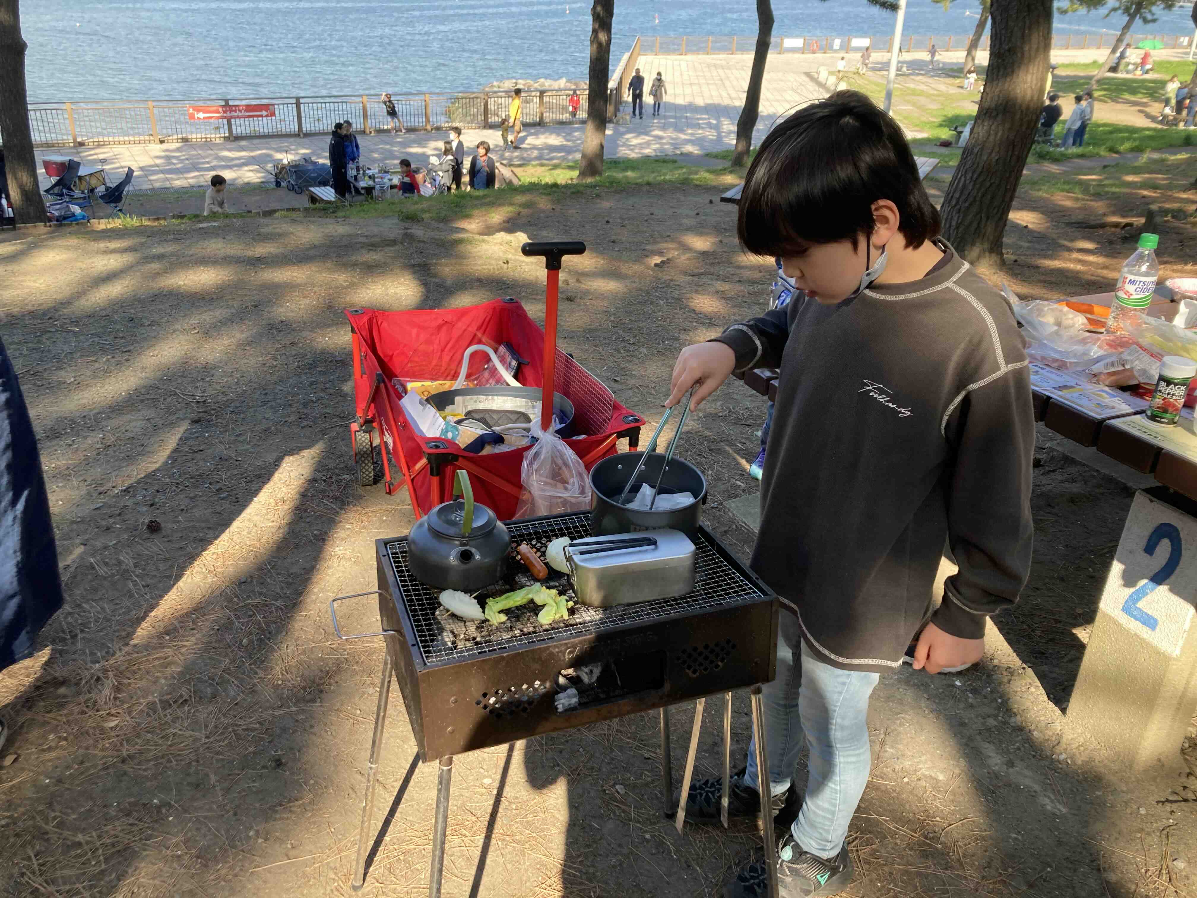 海の公園バーベキュー完全攻略！予約の真相と2026最新料金