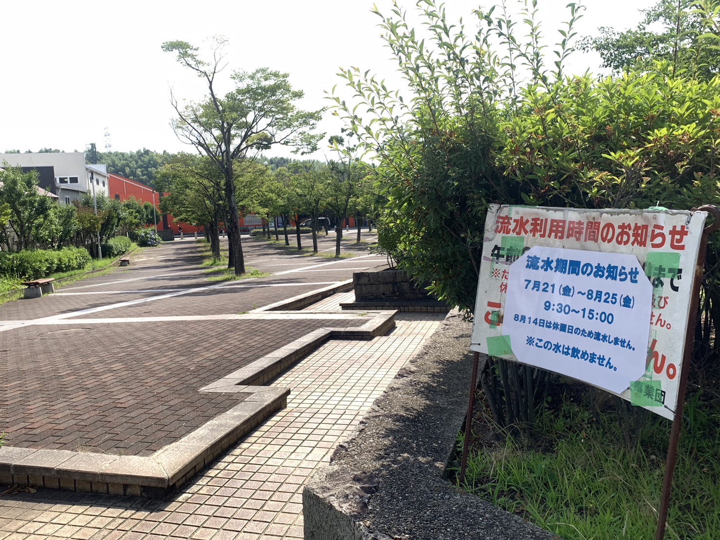 なぜ子連れに人気？きんめい公園の遊具・駐車場と混雑回避法を徹底解説