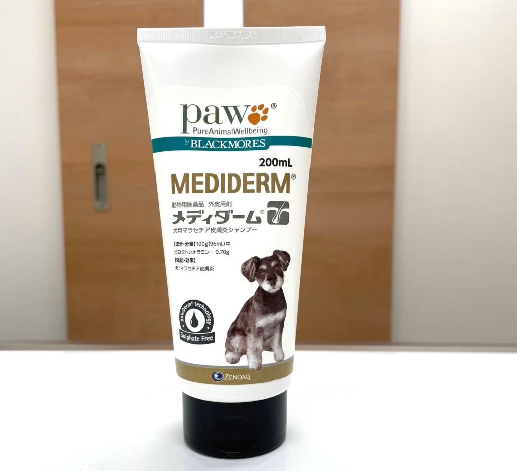 犬のマラセチアシャンプー完全攻略！治らない理由と正しい選び方