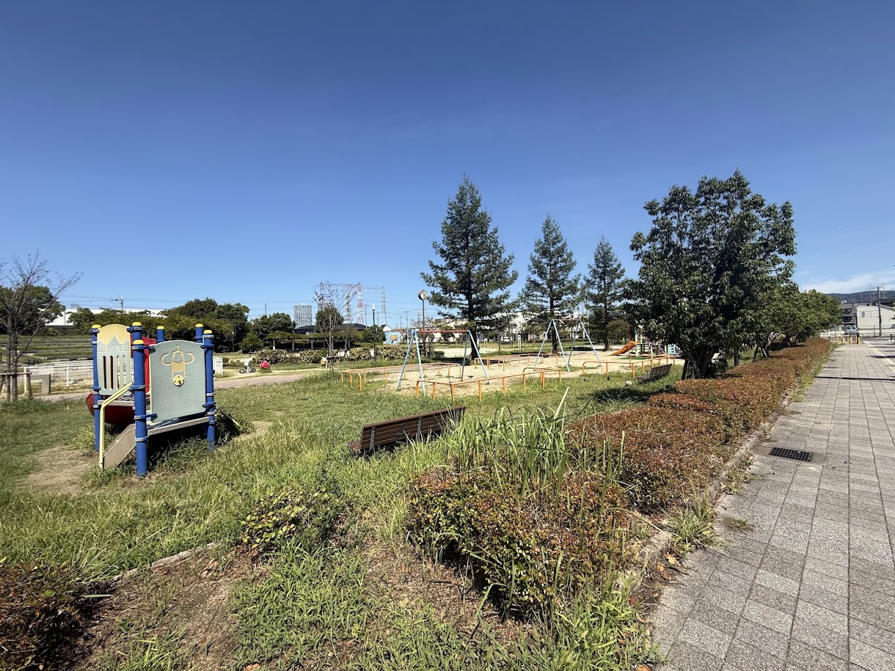 平野区・六反さくら公園の魅力と実態｜お花見穴場と遊具設備を徹底検証