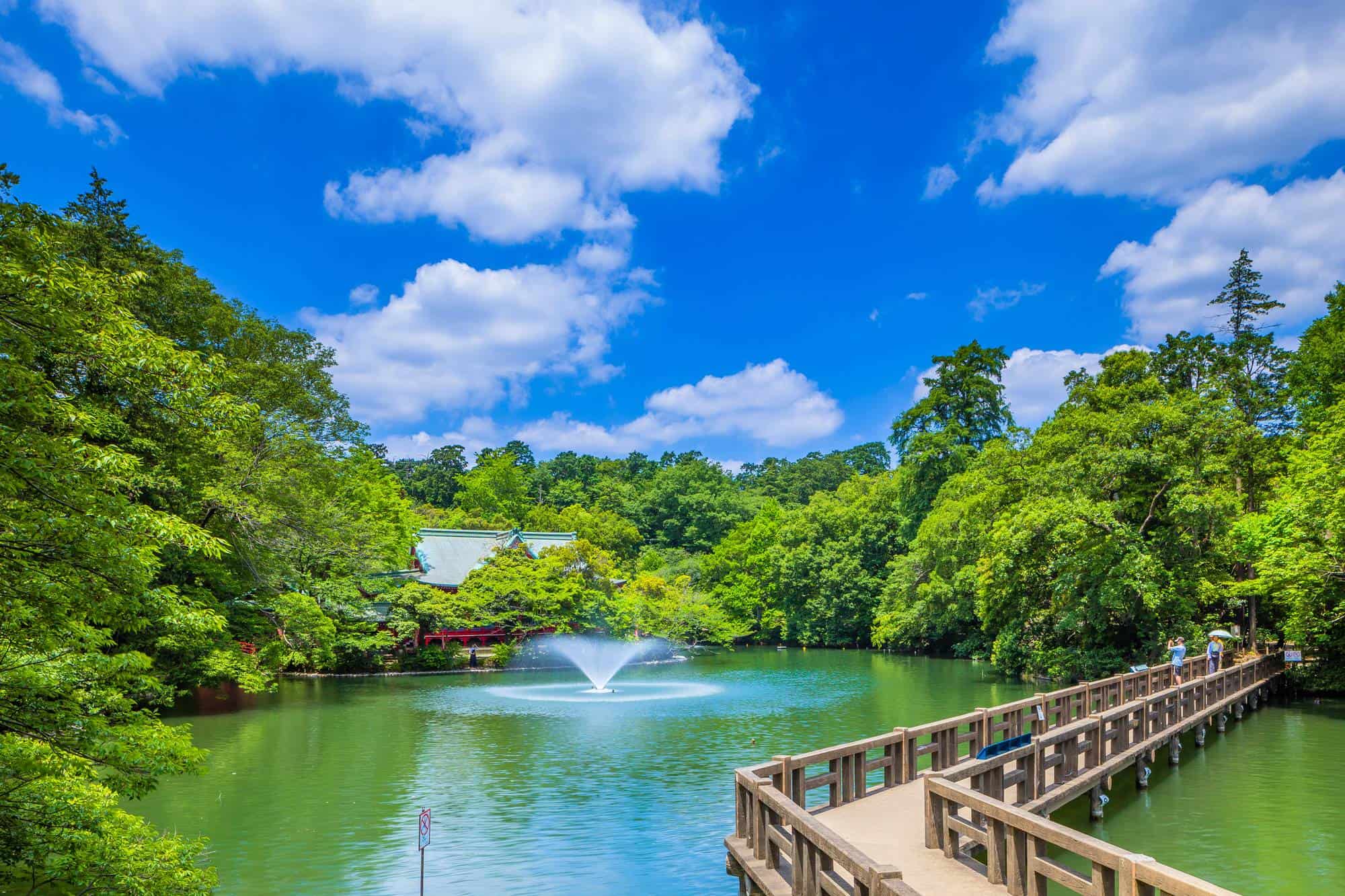 井の頭恩賜公園の魅力と噂の真相！2026年最新見どころ＆カフェ徹底解剖