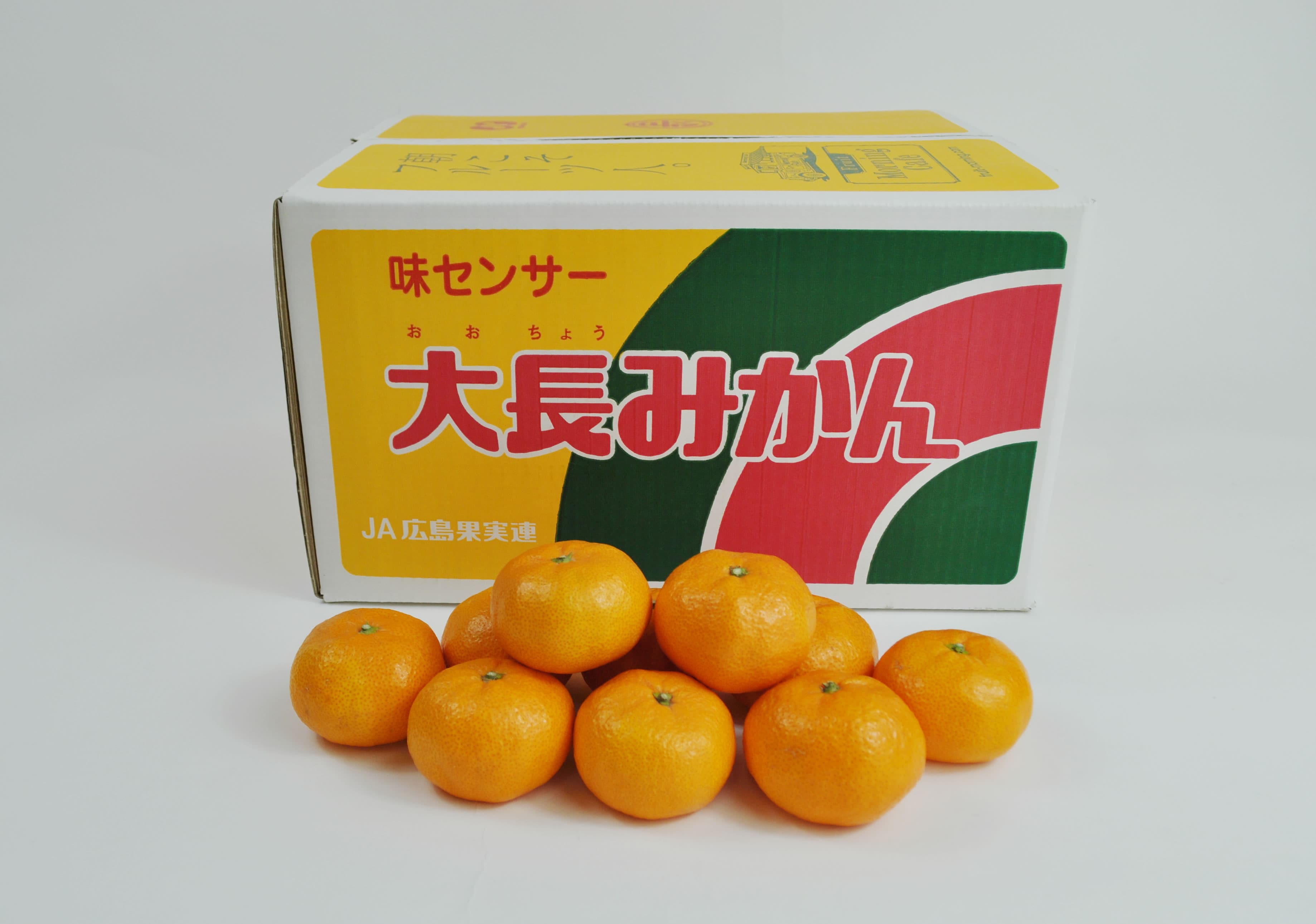大長みかんが濃厚に甘い理由とは？旬の時期・糖度や通販購入術を徹底解説