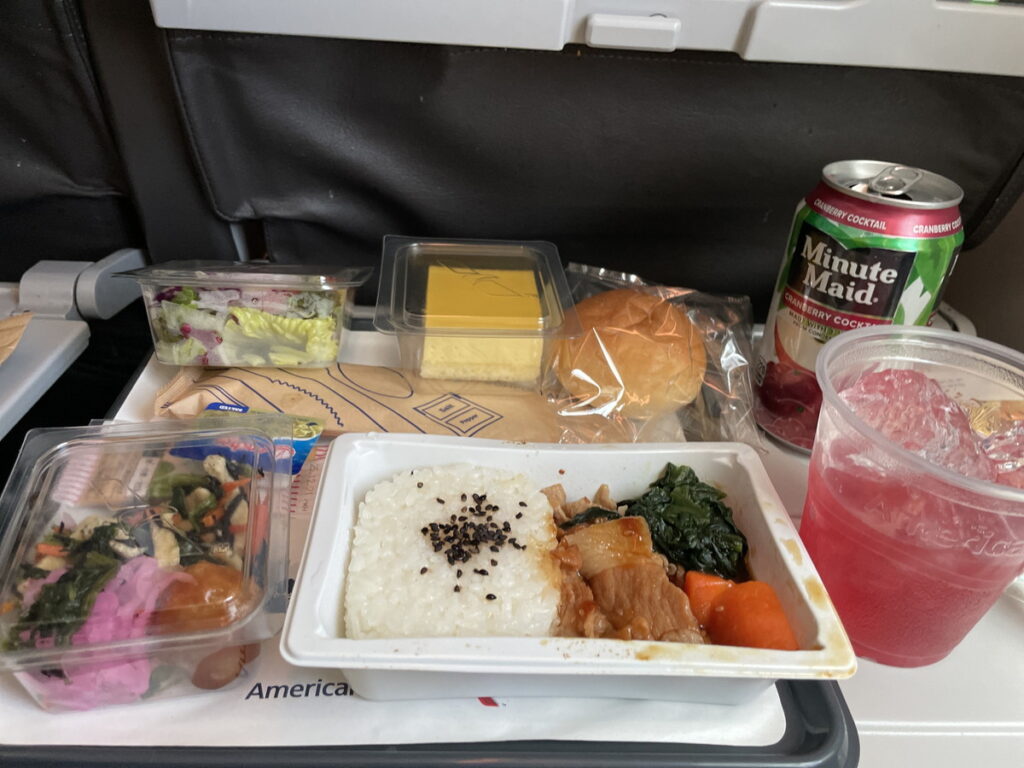 アメリカン航空の機内食はまずい？2026年最新メニューと評判を徹底検証