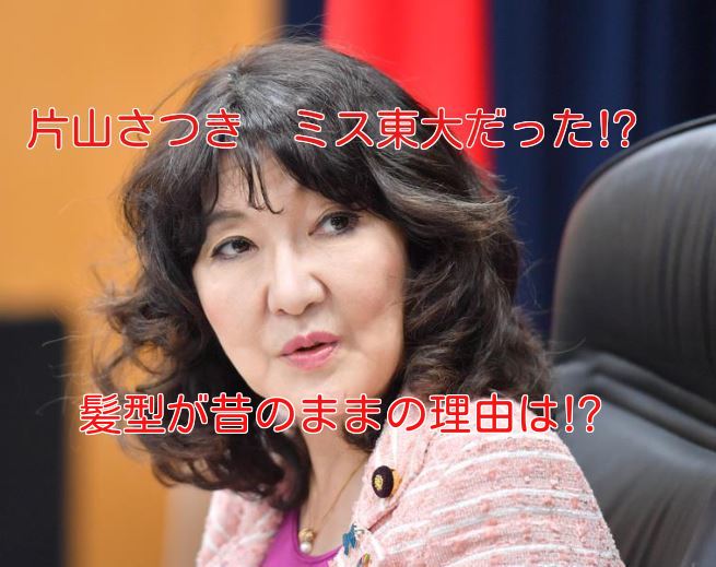 片山さつきはなぜ天才と呼ばれるのか？東大模試1位と官僚伝説の真実