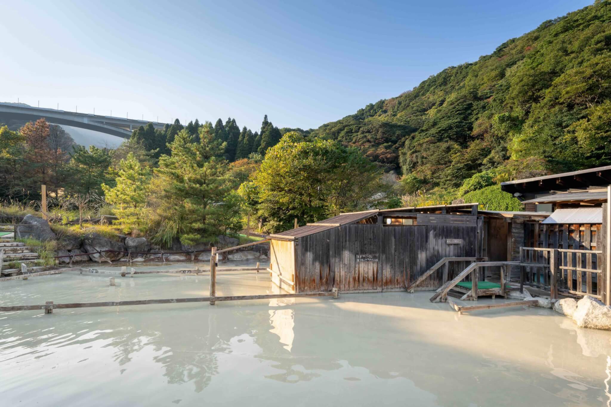 別府泥湯の混浴ルールと美肌効果！保養ランド徹底解剖【2026】