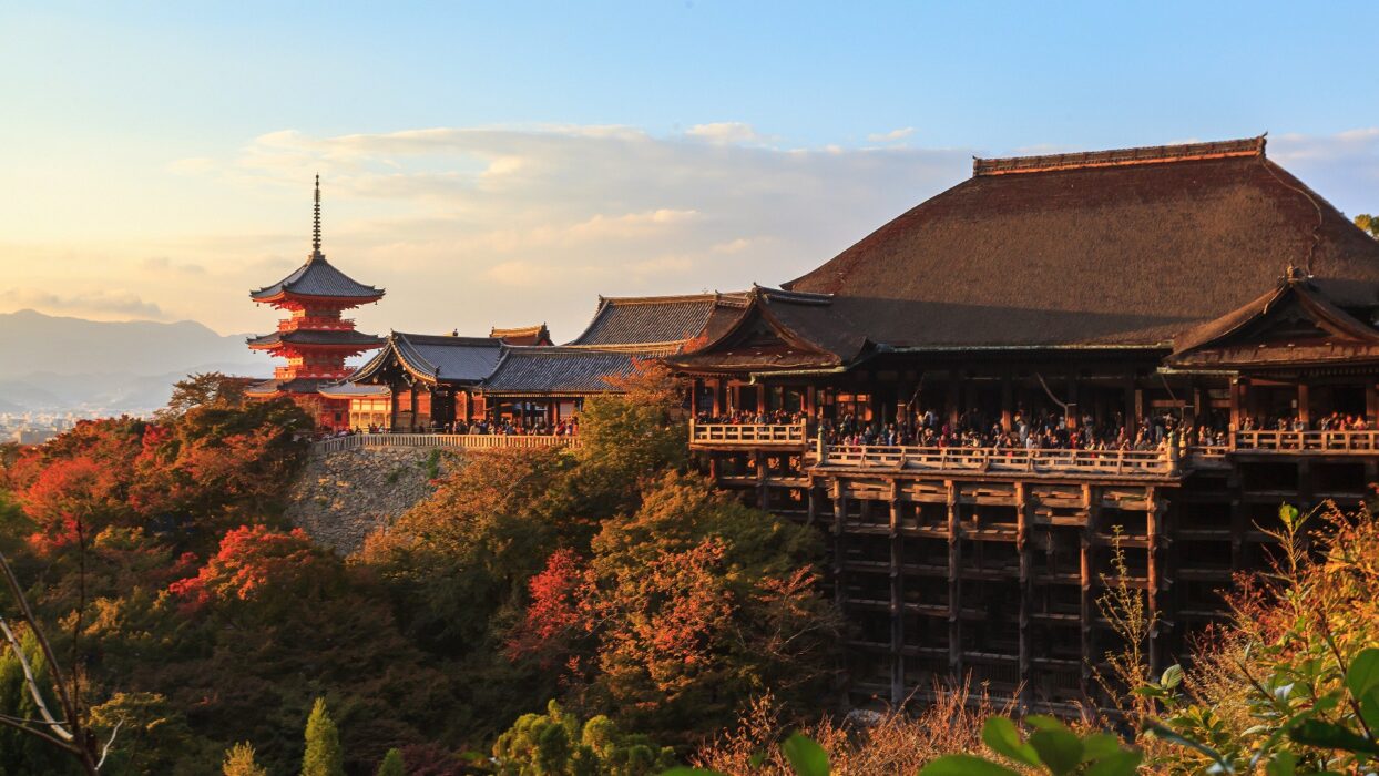 清水寺の全貌と舞台の真相！2026年最新拝観術と混雑回避の決定版