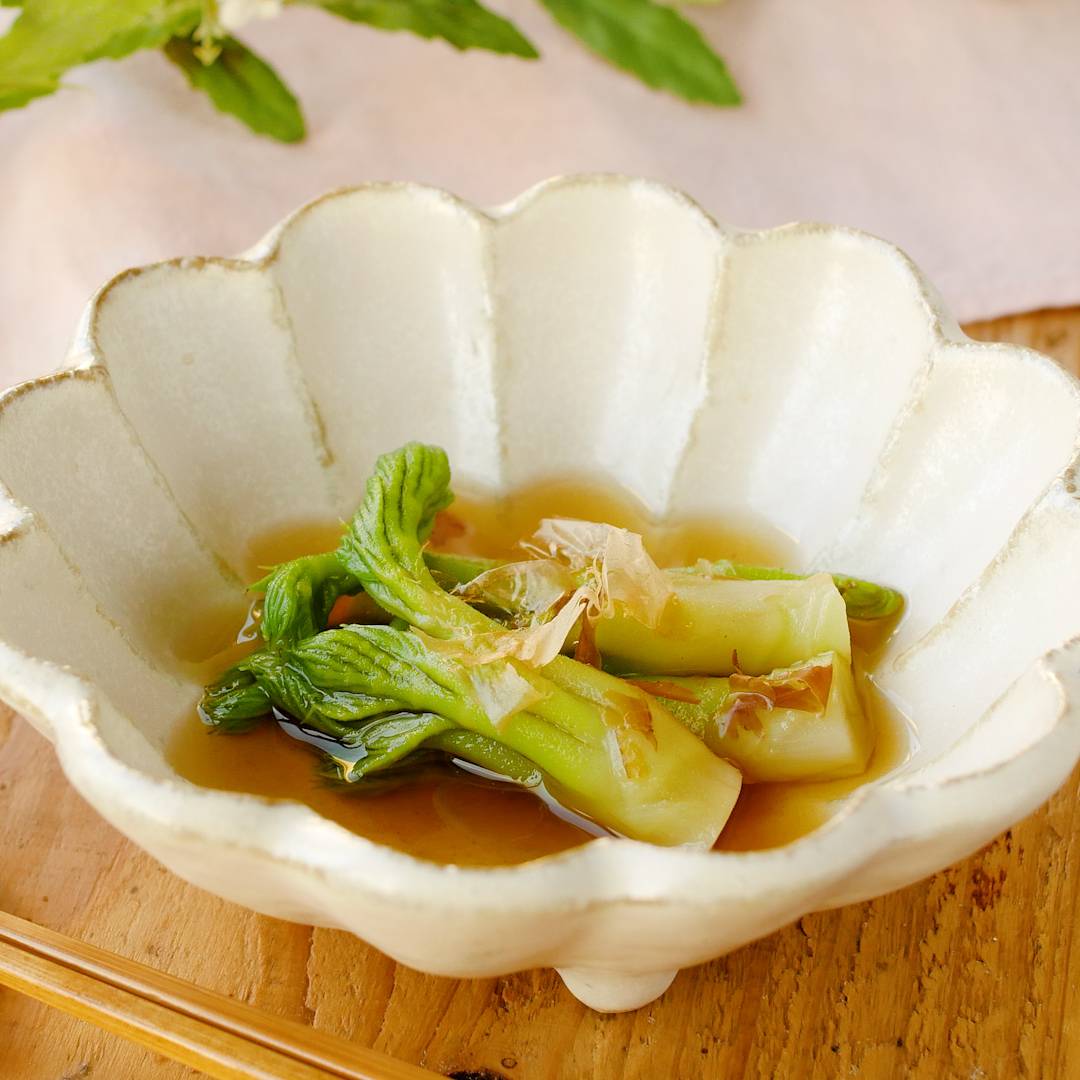 タラの芽の食べ方完全ガイド｜下処理・サクサク天ぷらと絶品レシピ