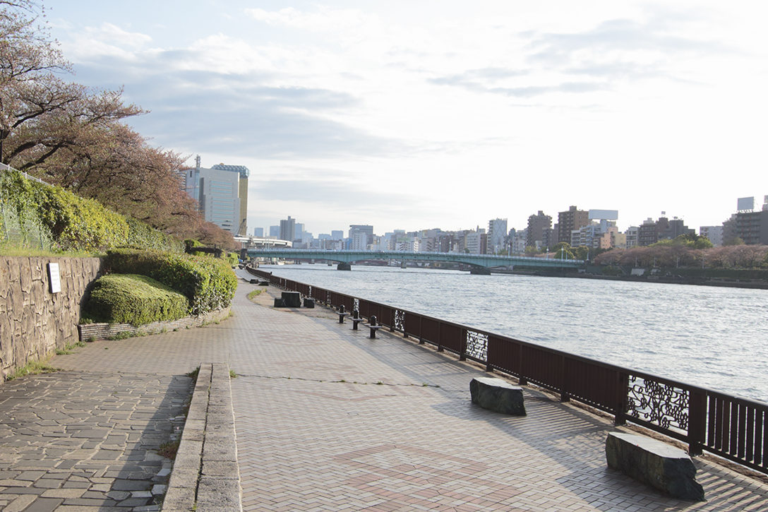 都内で花火ができる場所完全ガイド！公園・河川敷の最新ルール2026