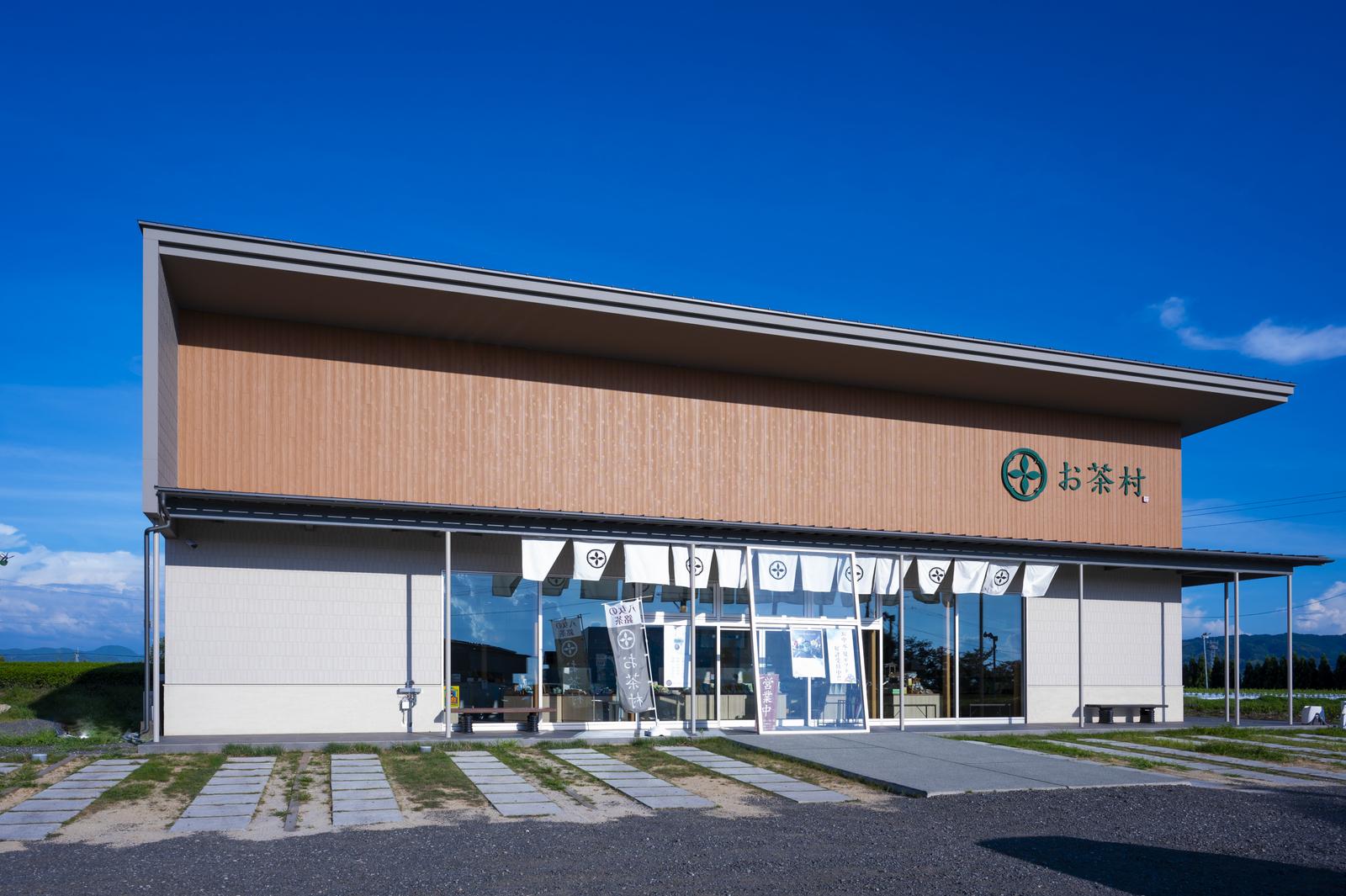 八女茶とお茶村の神仙桑抹茶ゴールドが絶賛される真相と口コミ徹底検証