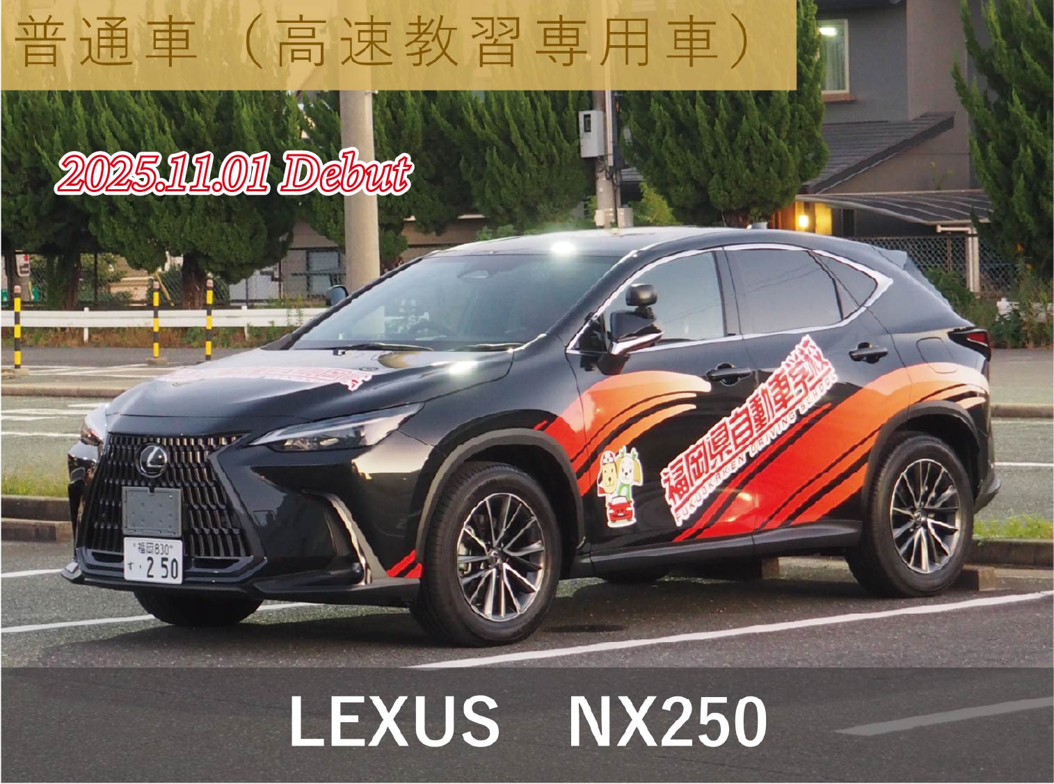 【2026最新】福岡県自動車学校の評判と費用は？予約の噂と選び方検証