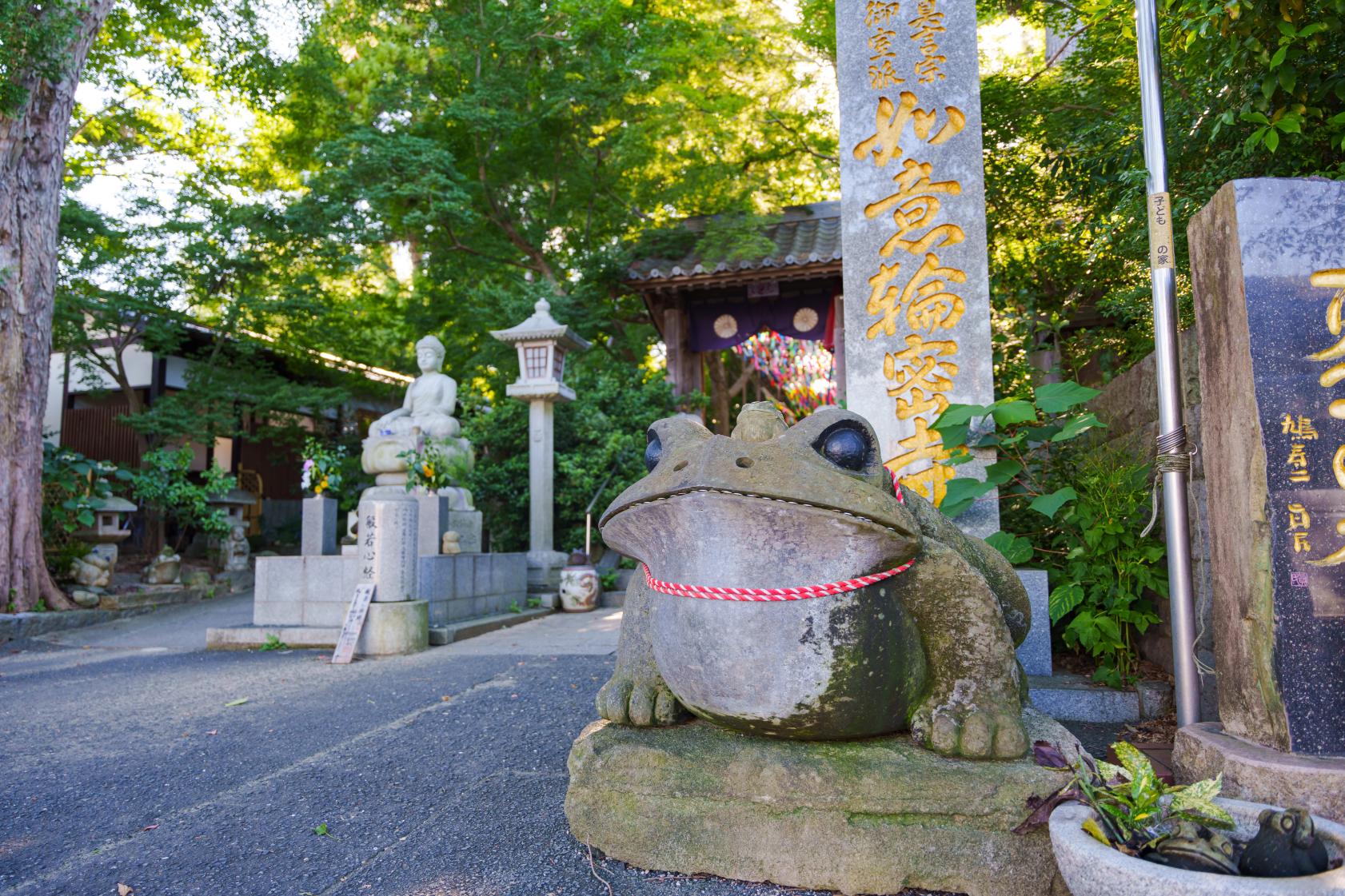 なぜカエルが1万体も？福岡小郡「如意輪寺」風鈴と御朱印の真相
