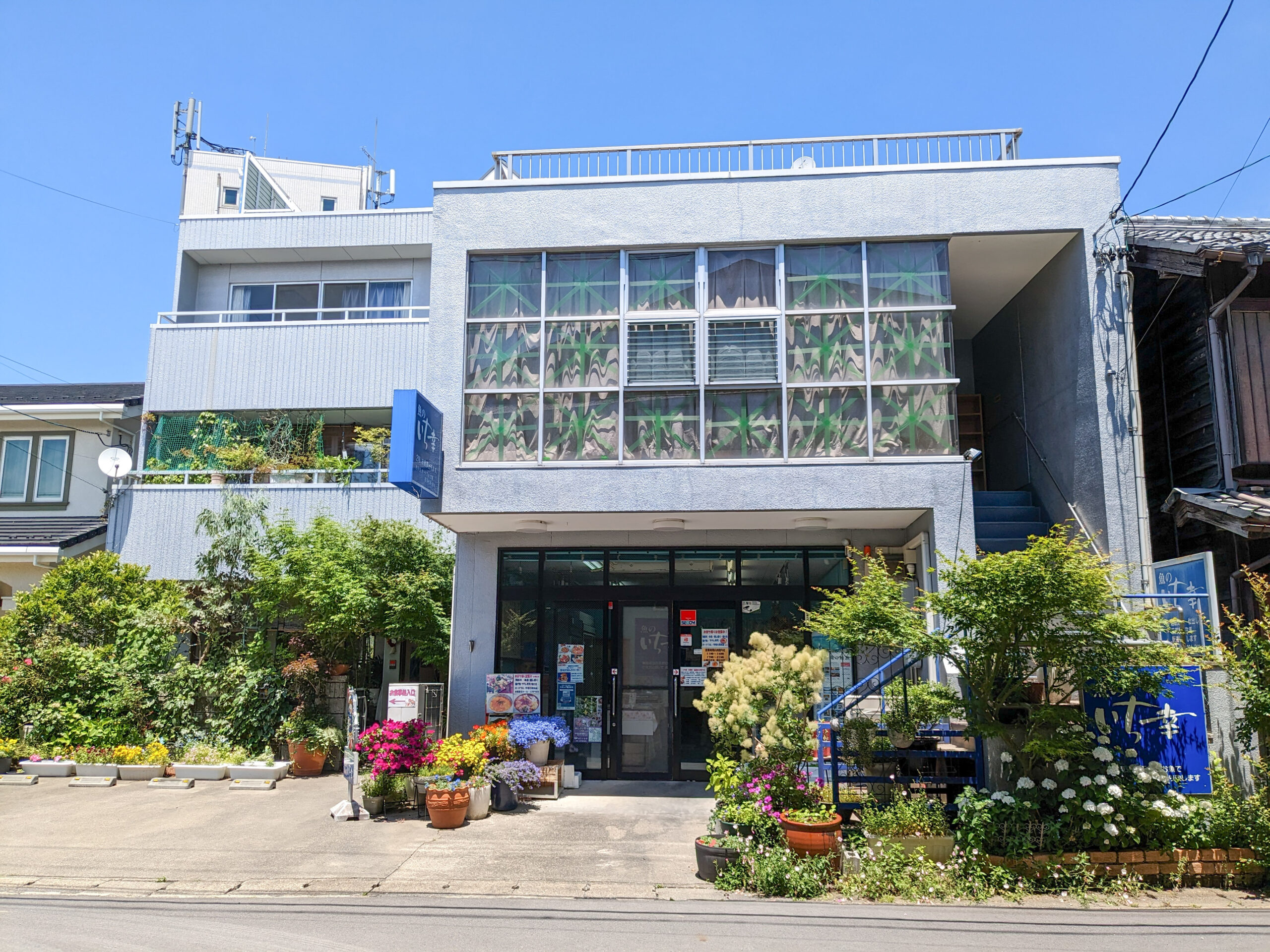 魚のいち幸の刺身盛りが人気の理由！評判と混雑・予約の攻略法