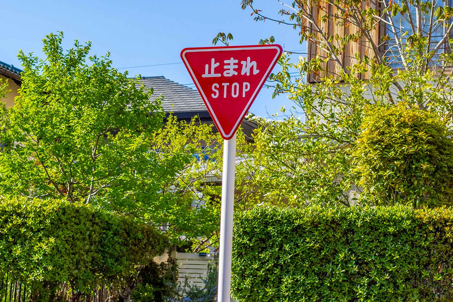 一時停止は何秒止まる？道交法の真実と警察の取締り基準を徹底解説