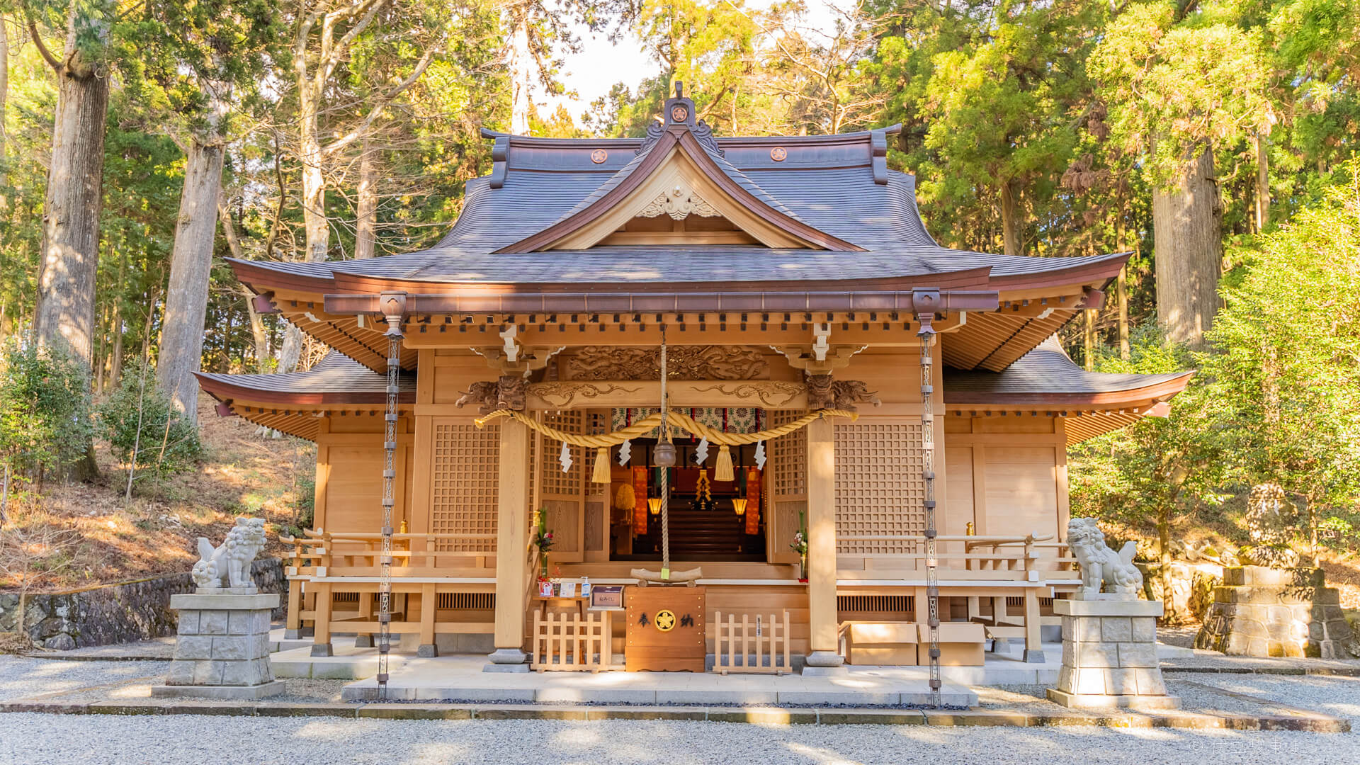 須山浅間神社が最強パワースポットと呼ばれる理由と見どころ徹底解剖