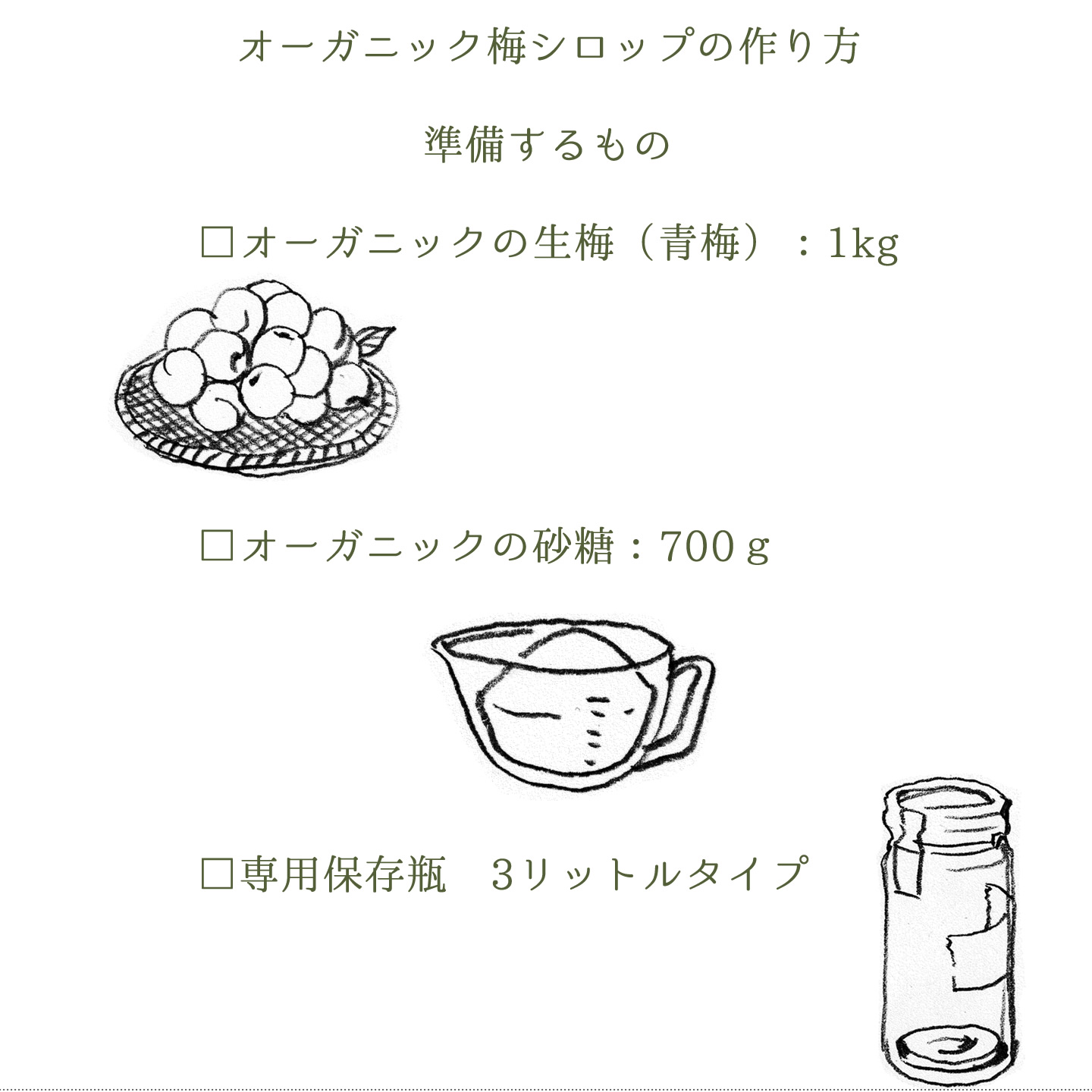 【2026年保存版】梅シロップ作り方1キロの黄金比と失敗ゼロの極意
