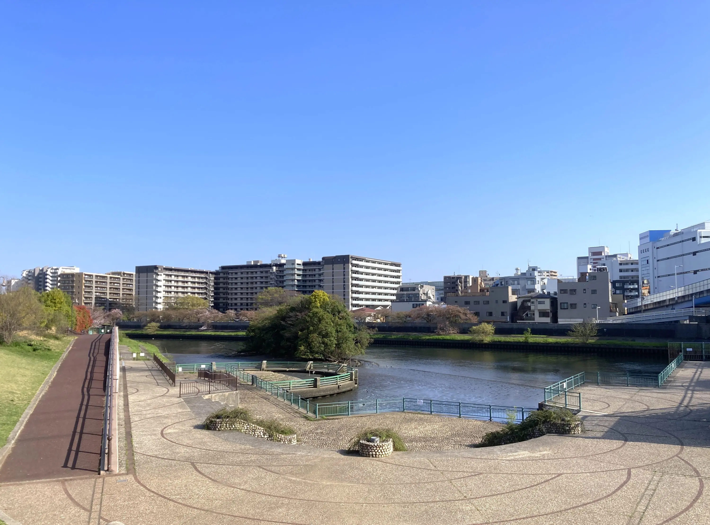 舟渡水辺公園の魅力とは？桜やアクセス・ロケ地の最新情報を徹底解説