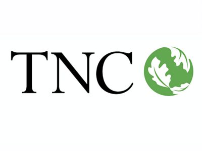 福岡百道浜Tnc放送会館の魅力総まとめ！ランチ・駐車場・見どころ