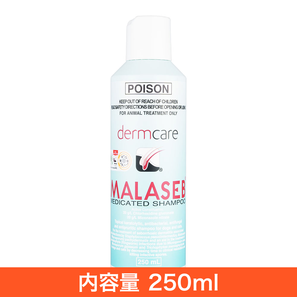 マラセブシャンプーの効果と正しい使い方｜効かない原因と通販の注意点を検証