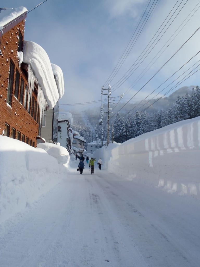 2026最新野沢温泉スノーレポート！やまびこ積雪と極上パウダーの全貌