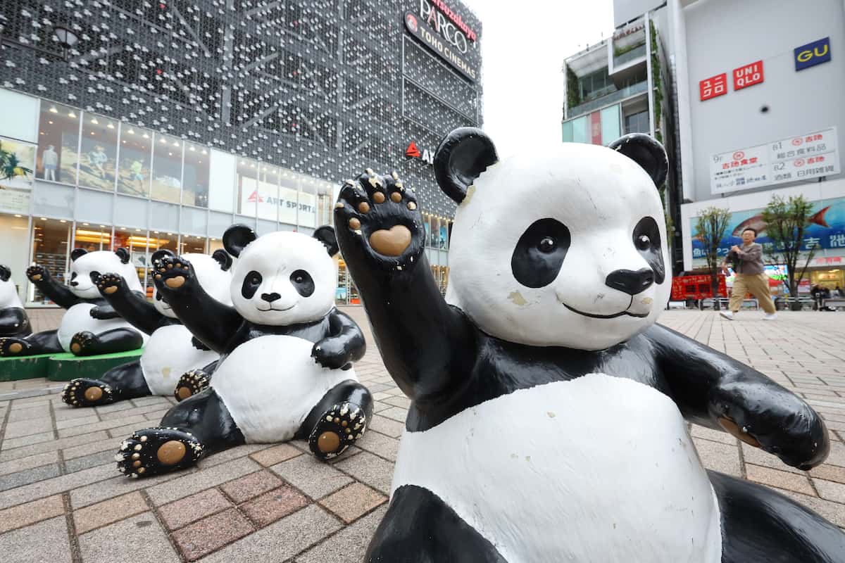 おかちまちパンダ広場の魅力解剖！2026年最新イベントと屋台実態