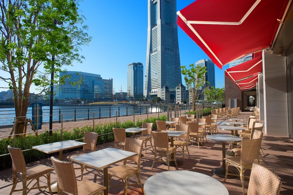 桜木町ランチ2026最新！地元民が選ぶ名店と穴場コスパの真相
