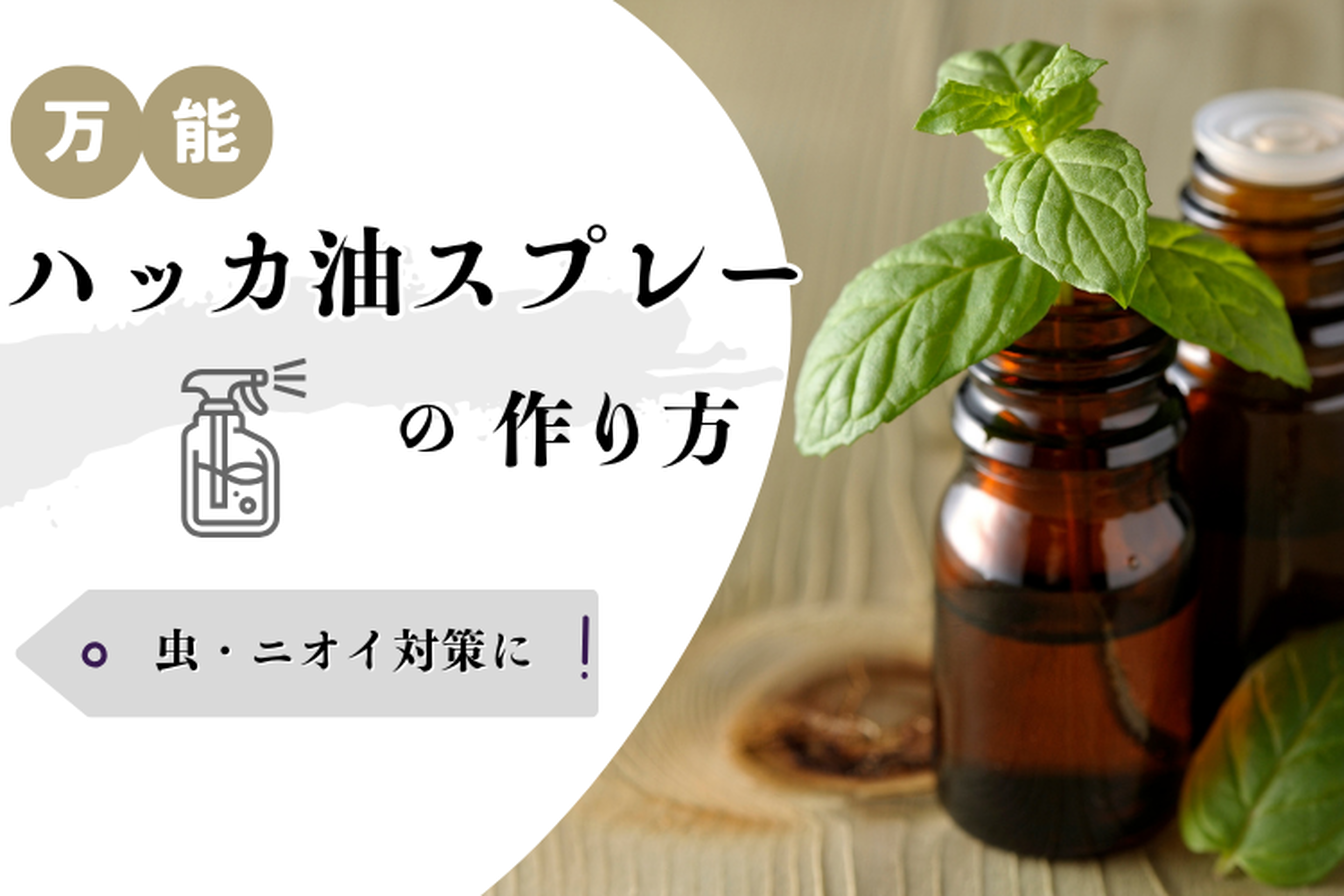 ハッカ油スプレーの作り方と黄金比｜容器が溶ける危険や虫除け効果を徹底解説