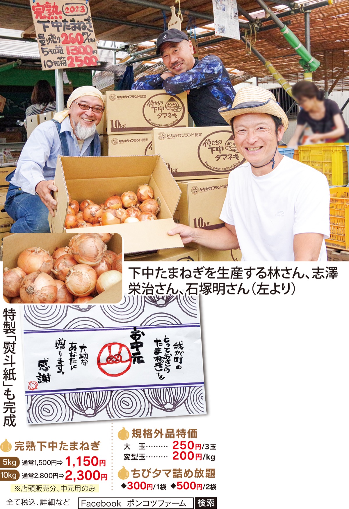幻の下中玉ねぎが甘い理由とは？2026年の旬・直売所と入手法