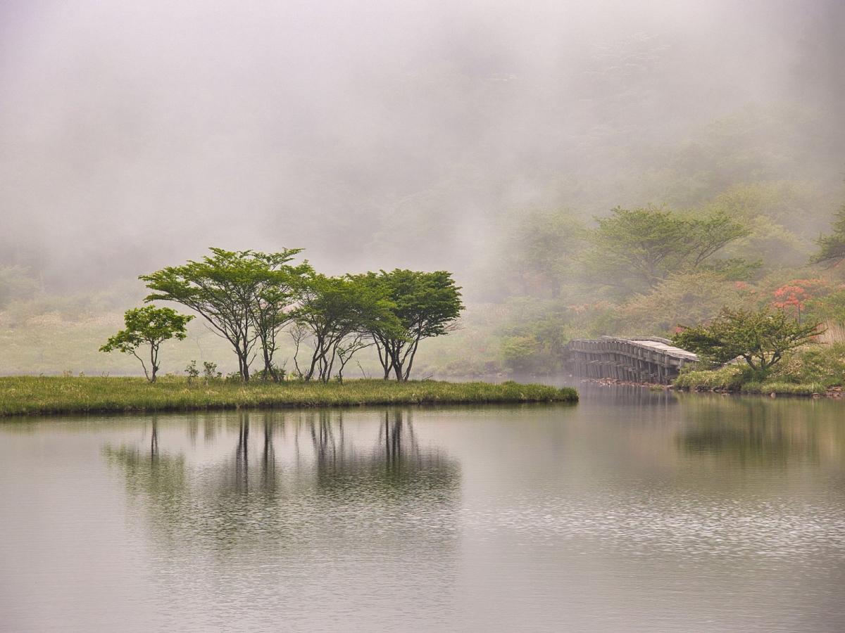 赤城山の小尾瀬「覚満淵」が誇る絶景の正体！紅葉と散策の魅力を徹底検証