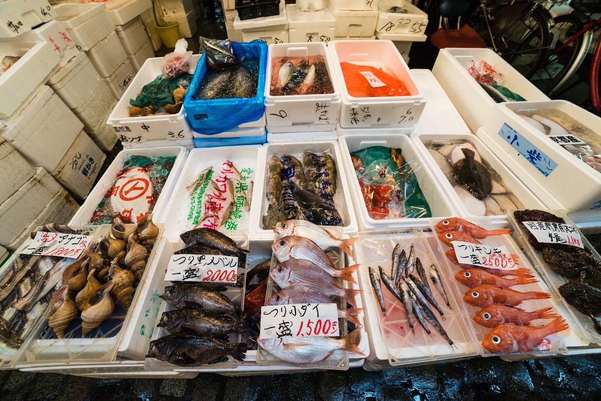東京都中央卸売市場・足立市場の一般開放日はいつ？絶品海鮮丼と買い出し完全版