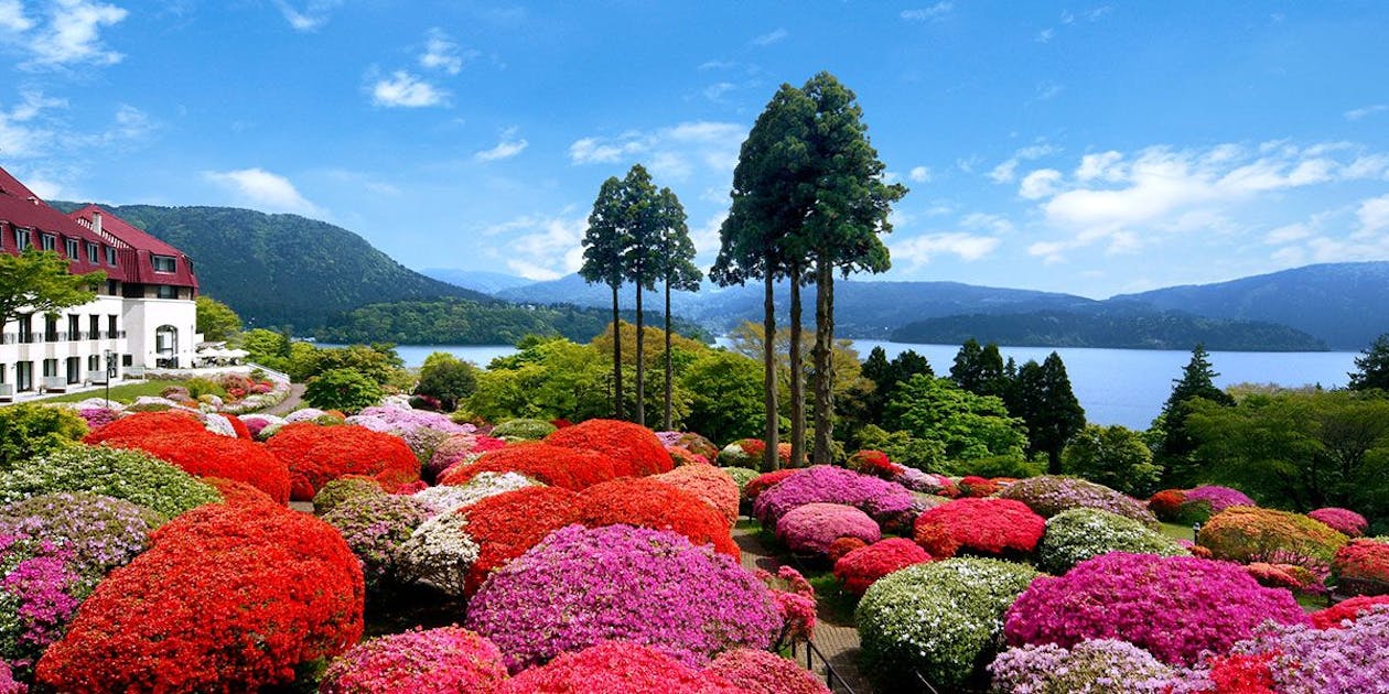芦ノ湖の名門「小田急山のホテル」人気の真相！ツツジ絶景と宿泊評価