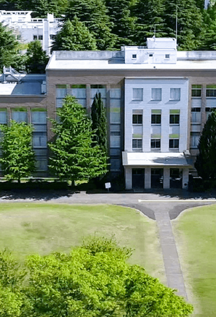 国際基督教大学の評判と難易度の真相｜2026年最新の進路と入試