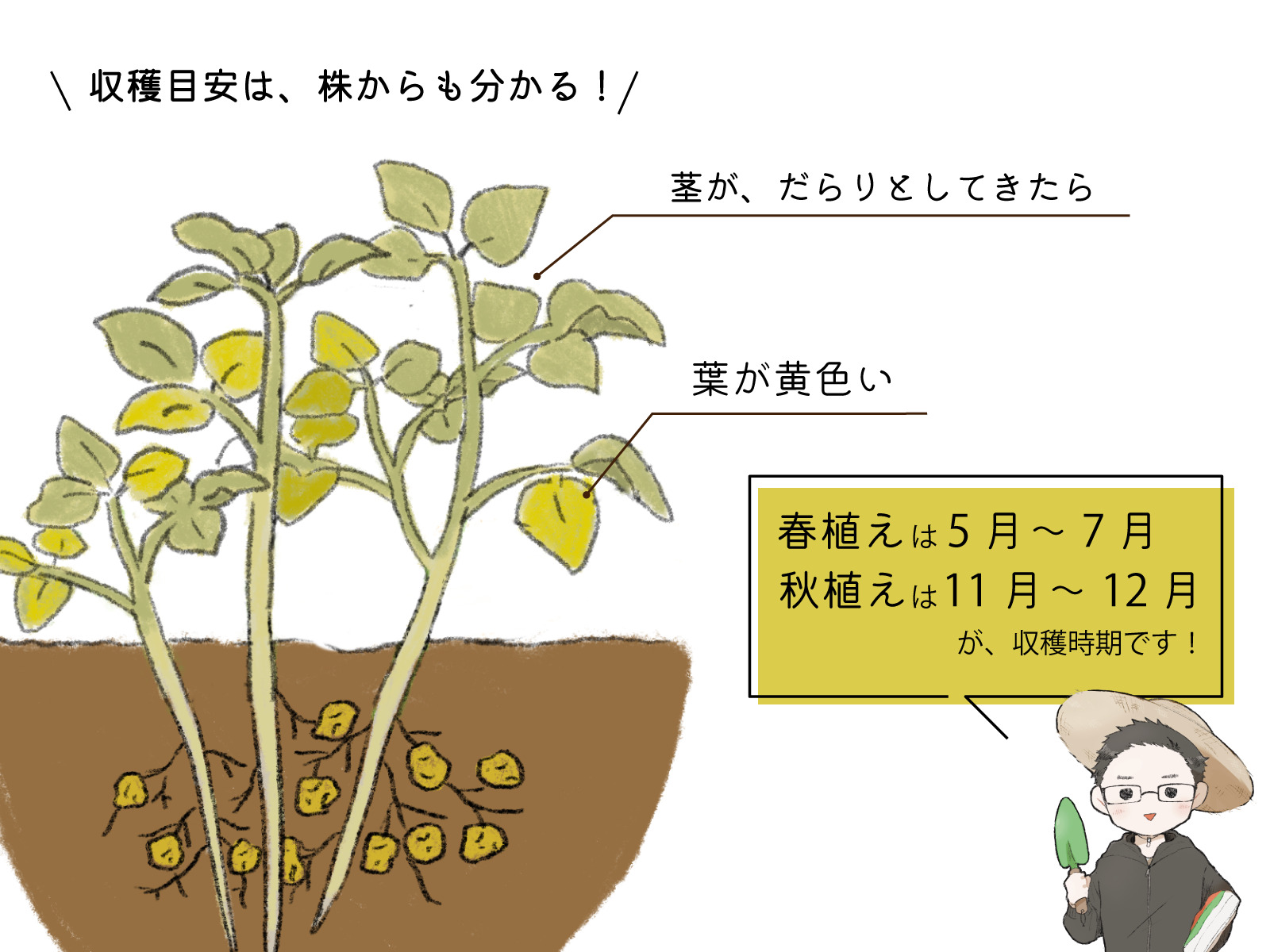 【2026年最新】難波メイドカフェの料金相場と初心者向けおすすめ店