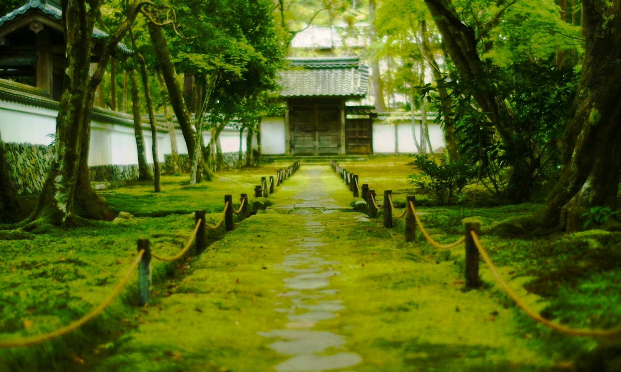 西芳寺（苔寺）はなぜ参拝料が高く厳しい？2026年最新予約と苔の見頃