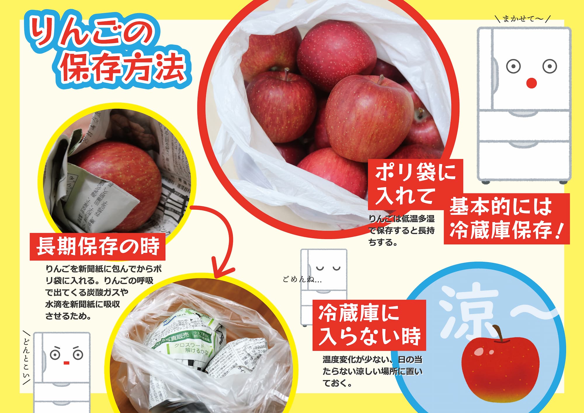 りんご保存方法の正解！常温放置がNgな理由と２ヶ月長持ちの裏ワザ