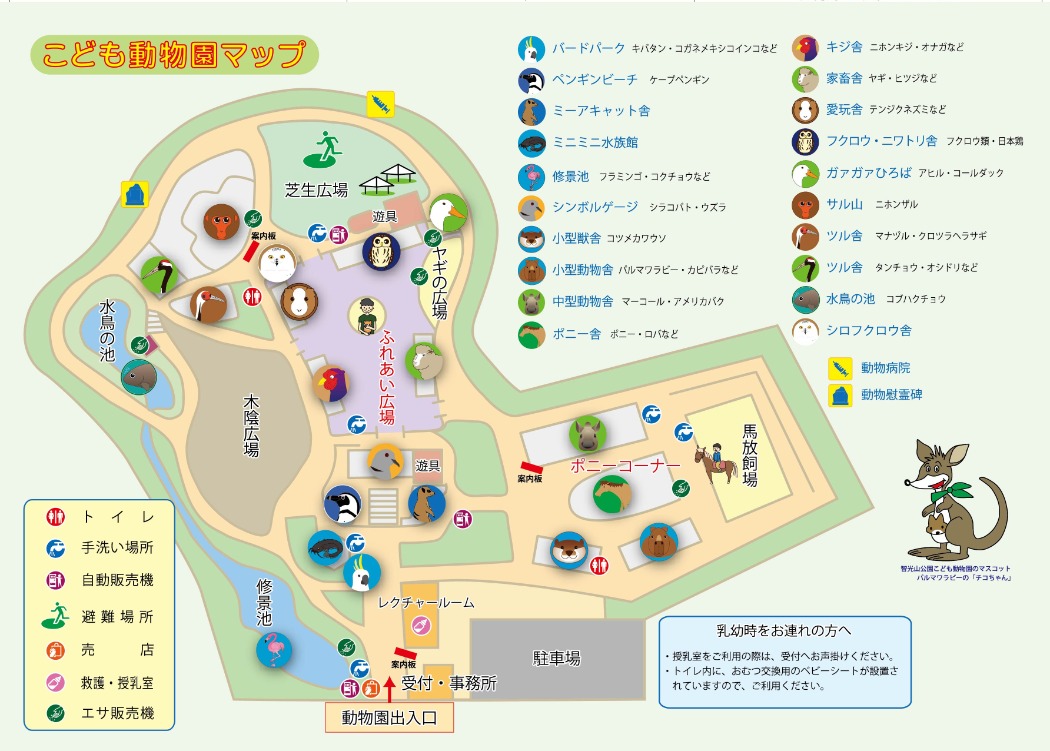 智光山公園が人を惹きつける理由｜動物園とキャンプの実態を検証