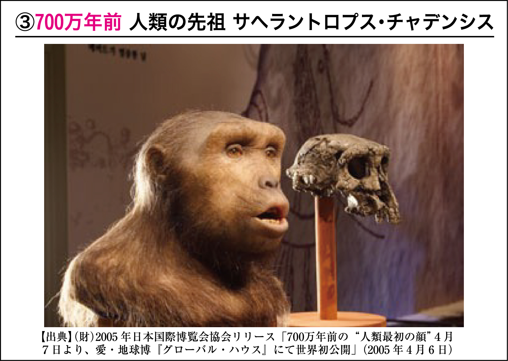 サヘラントロプス・チャデンシスは最古の人類か？700万年の真相
