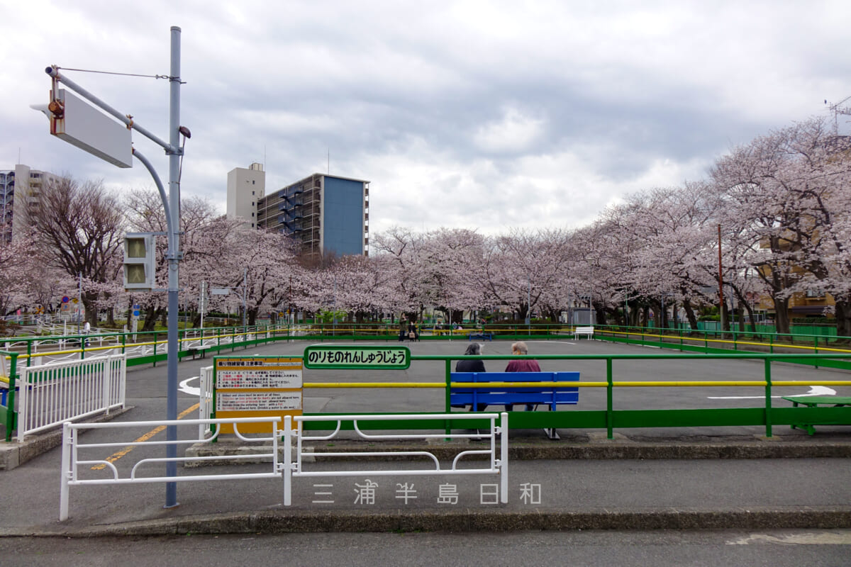 横須賀の交通公園はなぜ人気？無料ゴーカートの真相と混雑対策【2026最新】