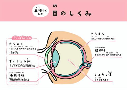 【画像あり】 目 が 据 わる と は 2026年最新プロフィール #858