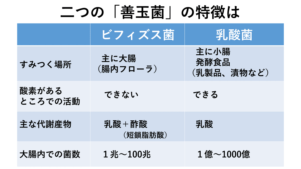 乳酸菌で下痢や腹痛？合わない症状と好転反応の見分け方を徹底解剖