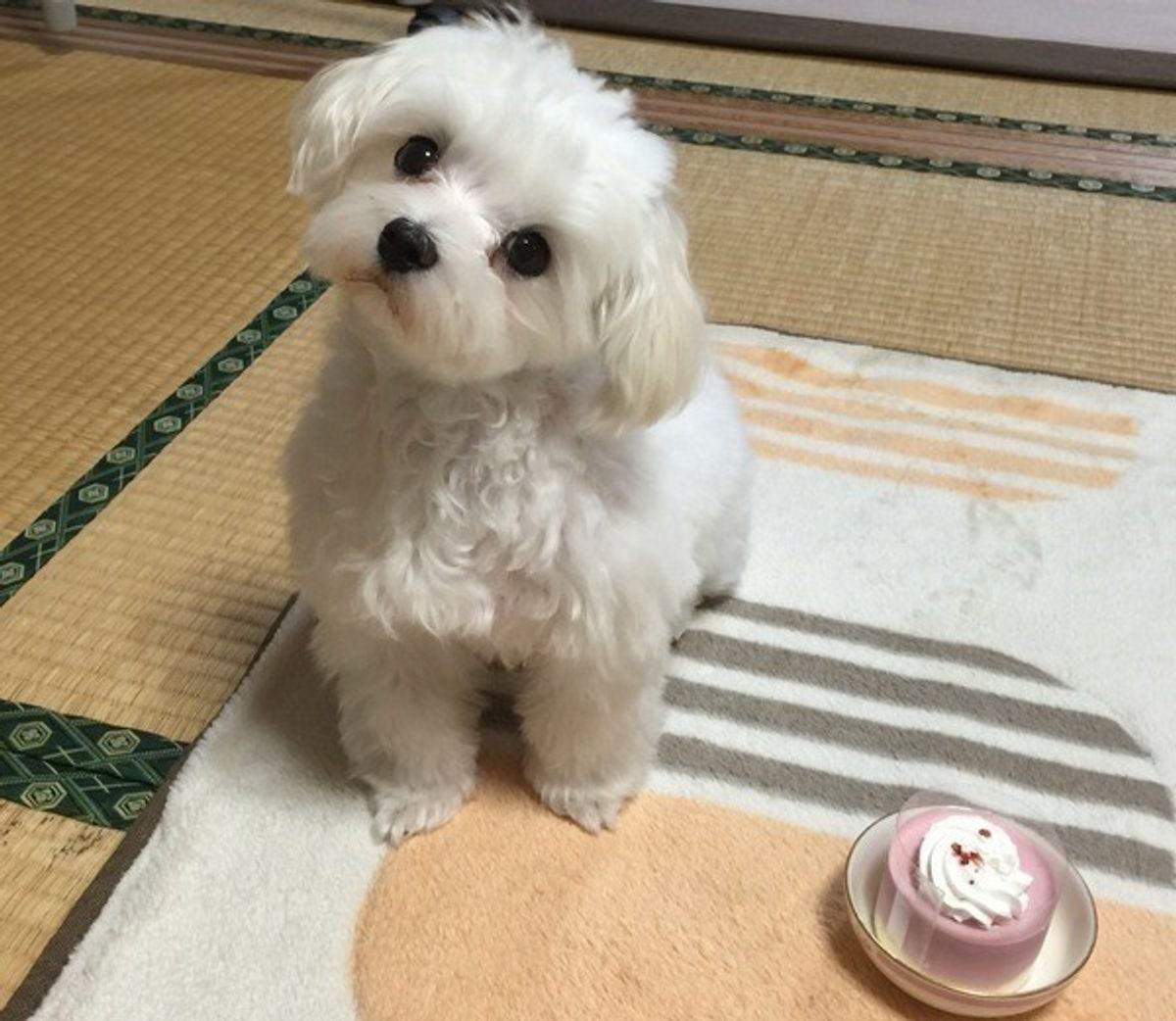 首をかしげるの本当の意味とは？ビジネスで失礼になる理由と心理の全貌