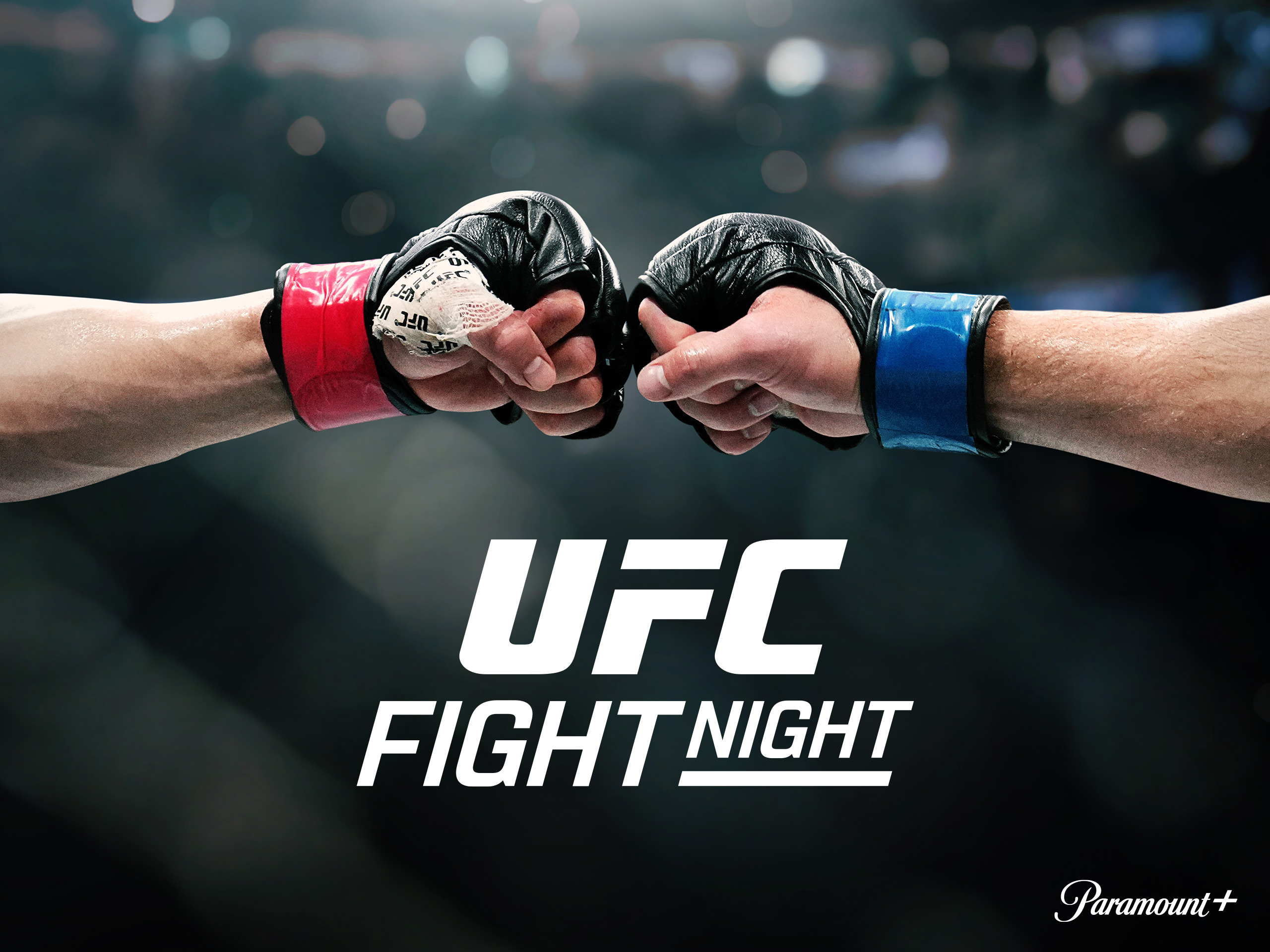 2026最新Ufcファイトナイト日程・対戦カードと視聴方法・日本人選手解説
