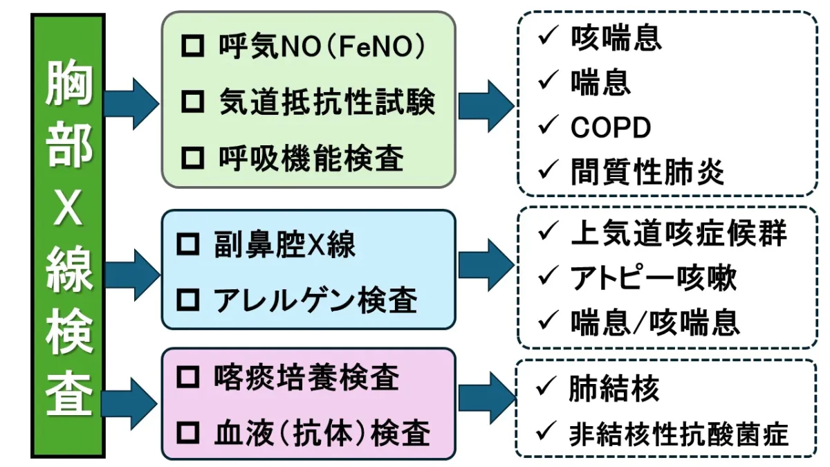 乾いた咳が止まらない！熱なしで長引く原因と今すぐできる対処法