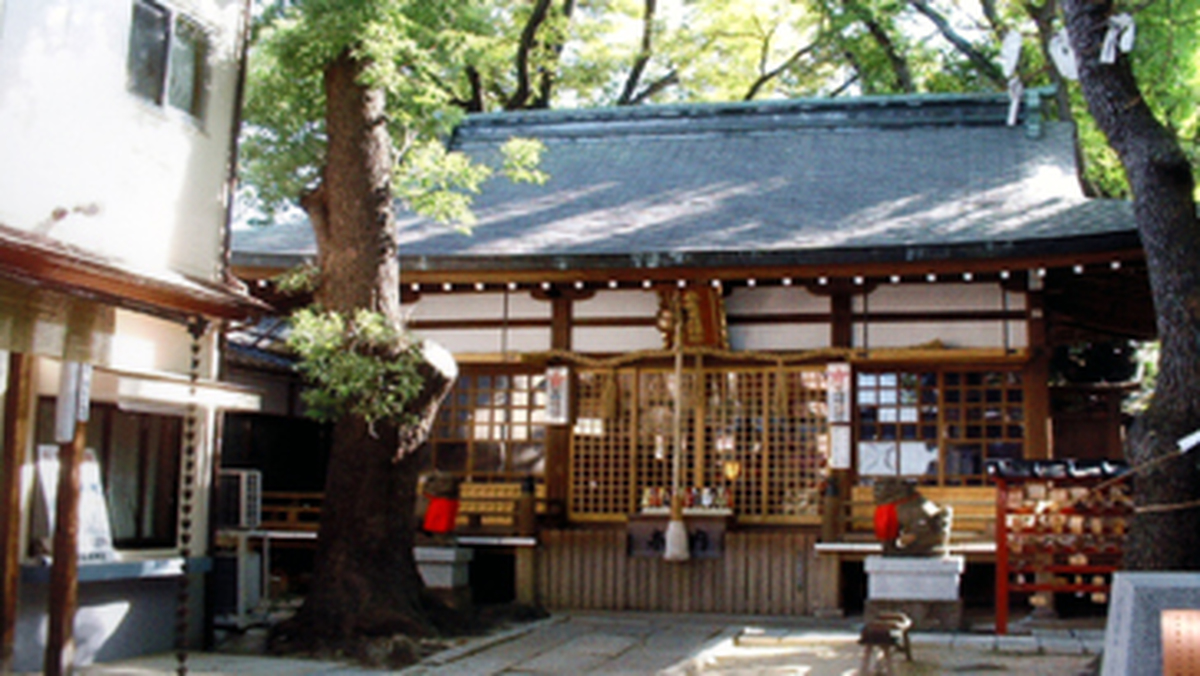 大阪の安倍晴明神社を徹底解剖！京都との違いと生誕地伝承の真実