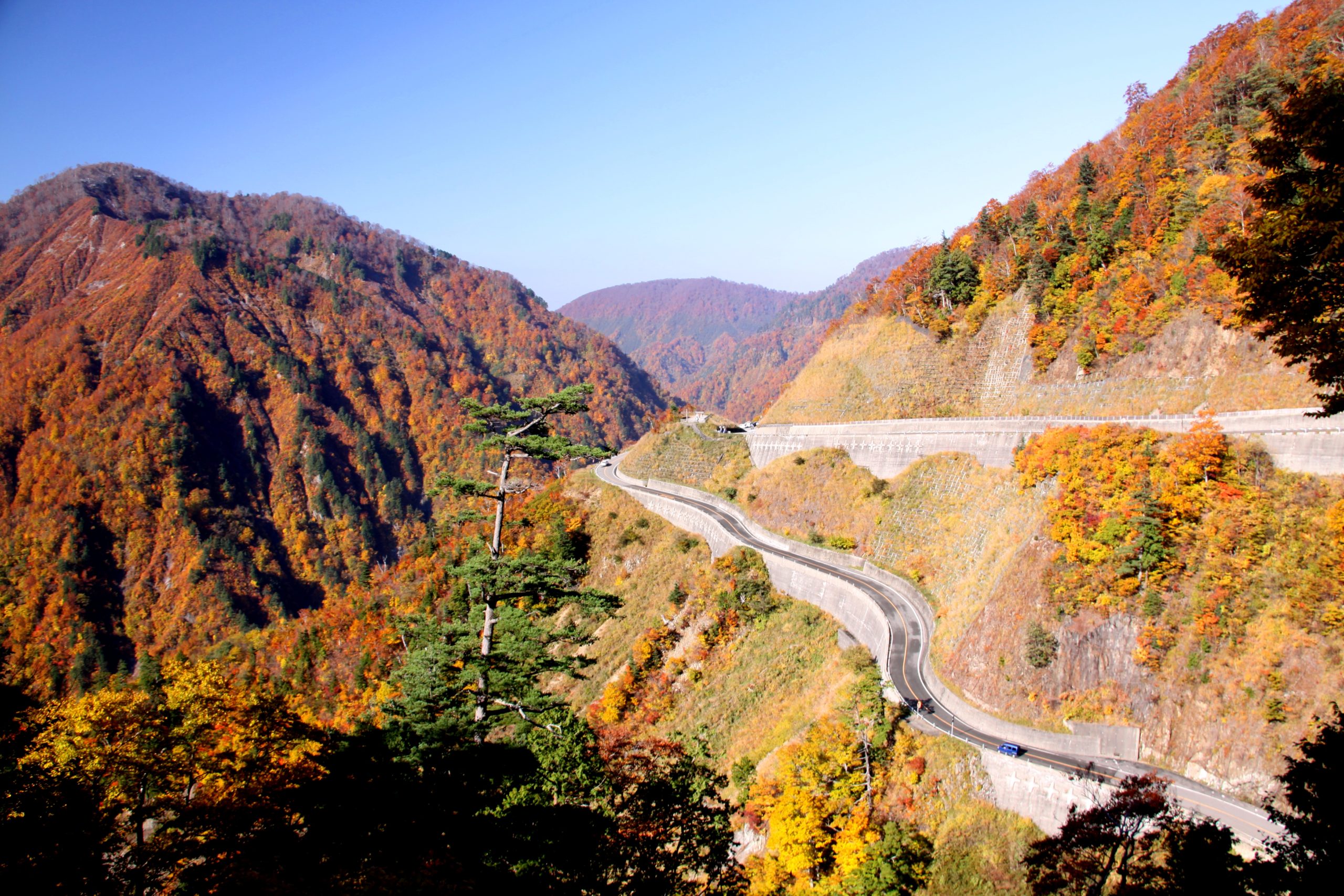 白山白川郷ホワイトロード2026最新！開通日と通行止めの真相を追う